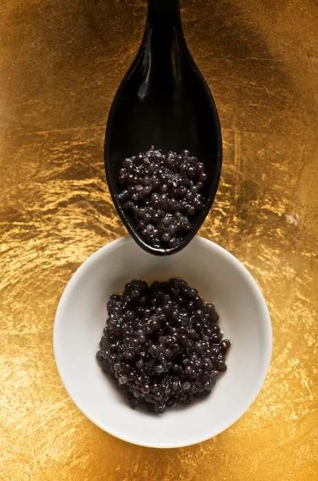 Caviar for lunch