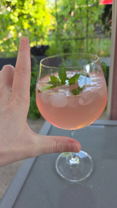 Cocktails & Erfrischungen ✨️
