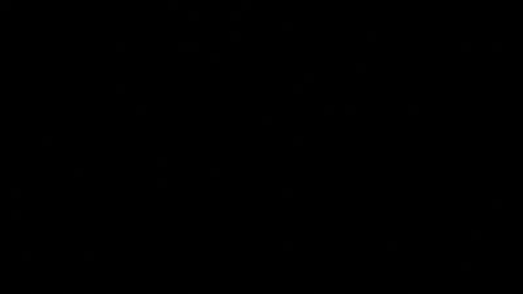 2D Animated Stream Alerts // debut