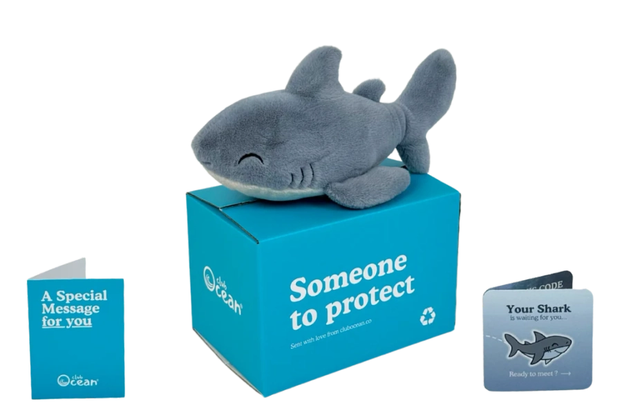 Shark Plushie