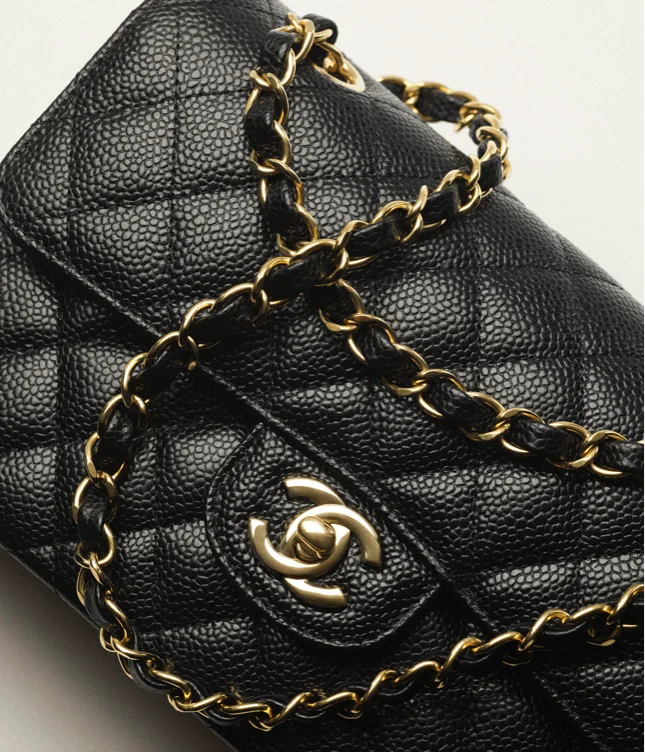 Chanel Purse