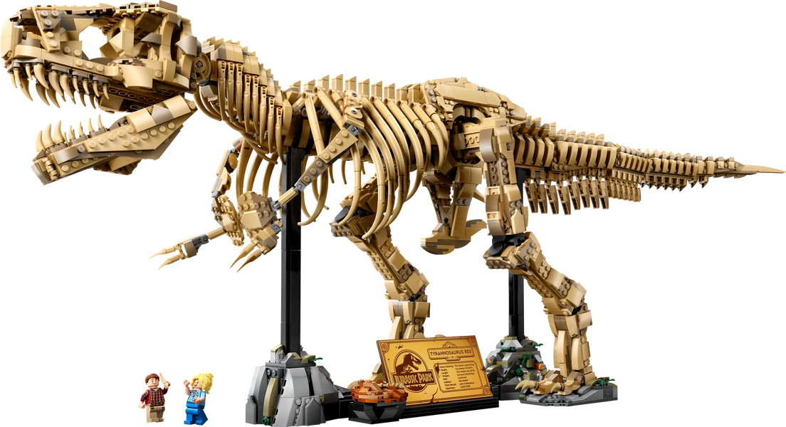 Dinosaurfossiler: Tyrannosaurus rex