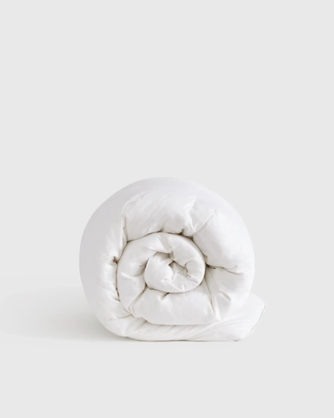 All Season Midweight 700 Fill Power Luxury White Goose Down Duvet Insert Comforter in White