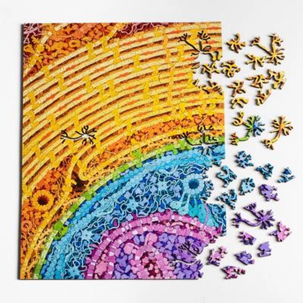 Neuron Puzzle - wooden biology and brain themed jigsaw puzzle