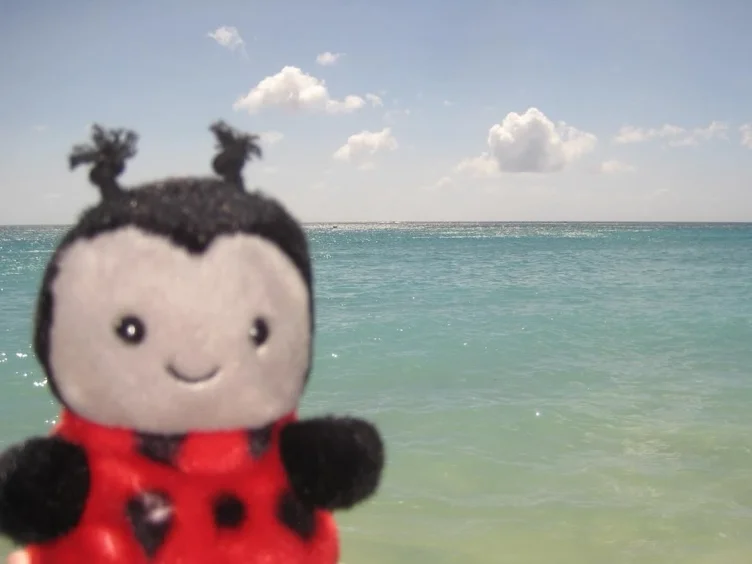 beach trip 