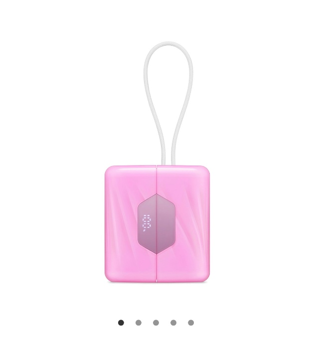 Portable Battery Charger