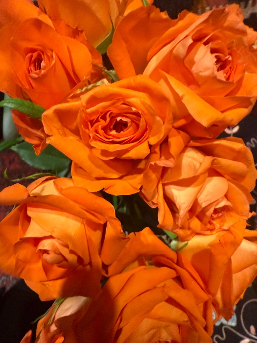 Little bunch of flowers 