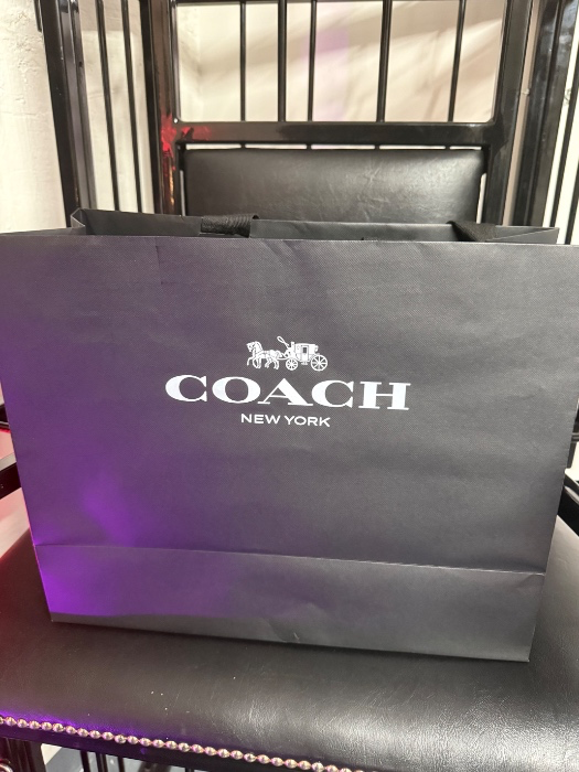 Coach bag and wallet 