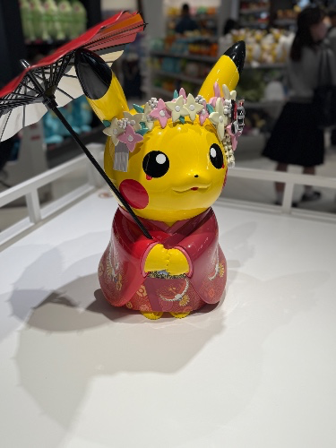 Japan 2027 support A