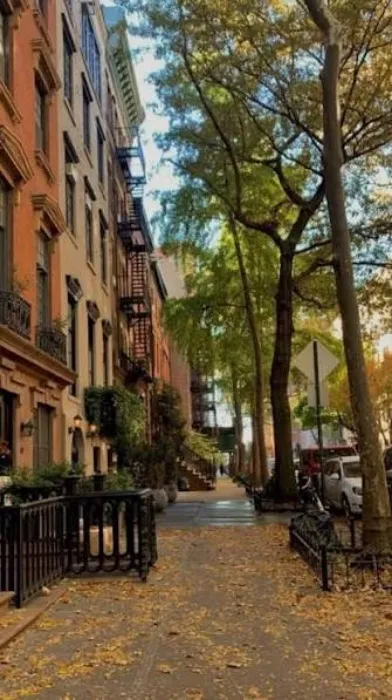 NYC Trip