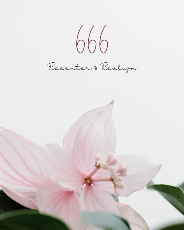 666 Flowers 