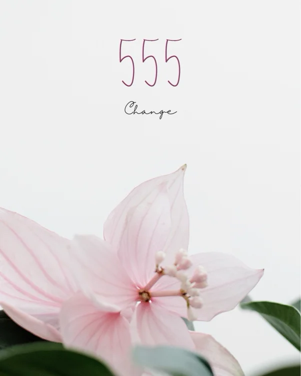 555 Flowers 