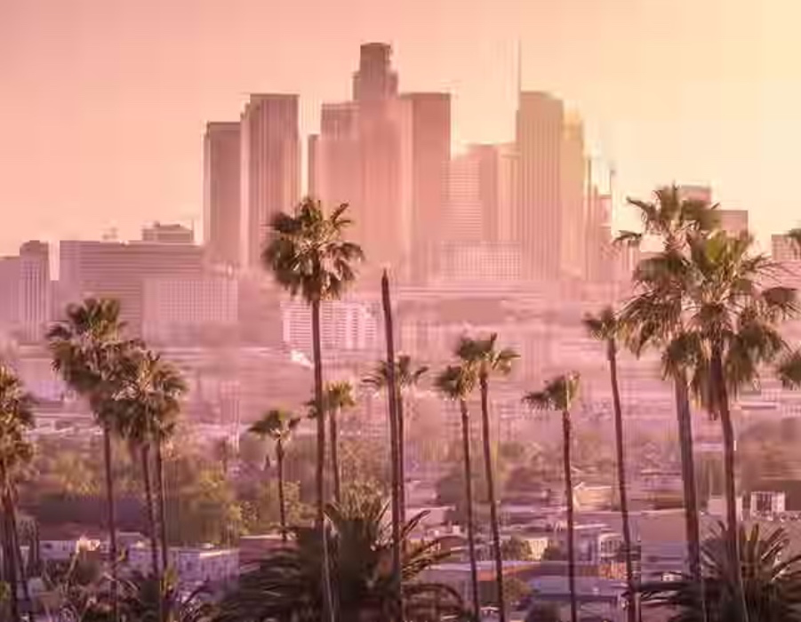 Flight to LA