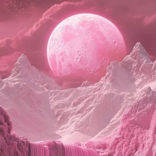 𝗦𝗧𝗘𝗟𝗟𝗘𝗥 𝗦𝗧𝗔𝗥𝗗𝗨𝗦𝗧 ✩ $60