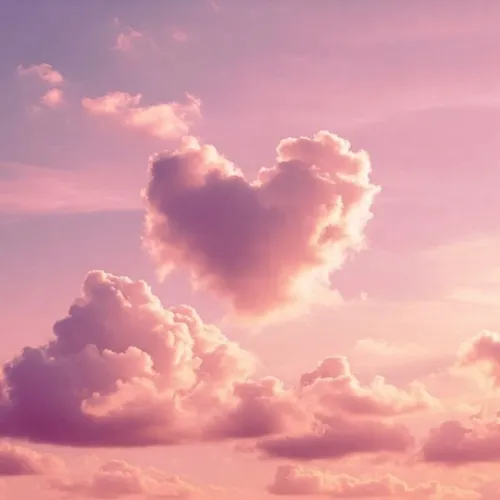 𝗦𝗧𝗘𝗟𝗟𝗘𝗥 𝗦𝗧𝗔𝗥𝗗𝗨𝗦𝗧 ✩ $100