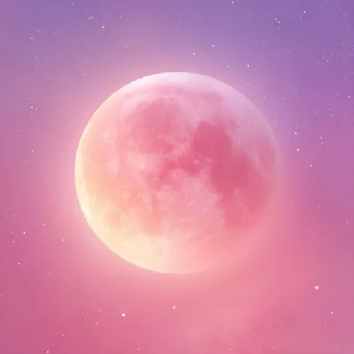 𝗦𝗧𝗘𝗟𝗟𝗘𝗥 𝗦𝗧𝗔𝗥𝗗𝗨𝗦𝗧 ✩ $90