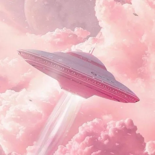 𝗦𝗧𝗘𝗟𝗟𝗘𝗥 𝗦𝗧𝗔𝗥𝗗𝗨𝗦𝗧 ✩ $20