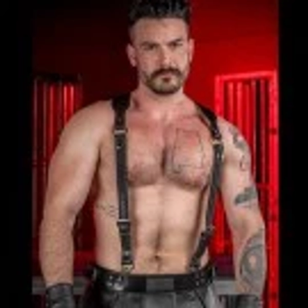 Leather Suspender & Harness Combo