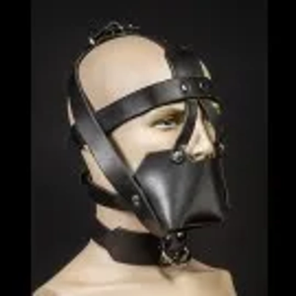 Muzzle - Gag & Locking Buckles