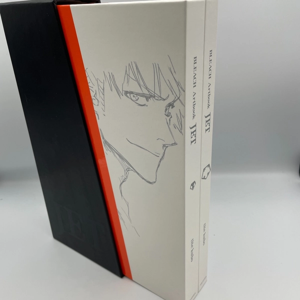 BLEACH Illustration Collection JET Art Book Case édition limitée du Japon