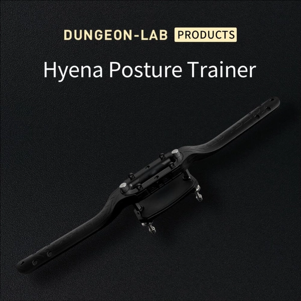 DG-LAB Posture Trainer