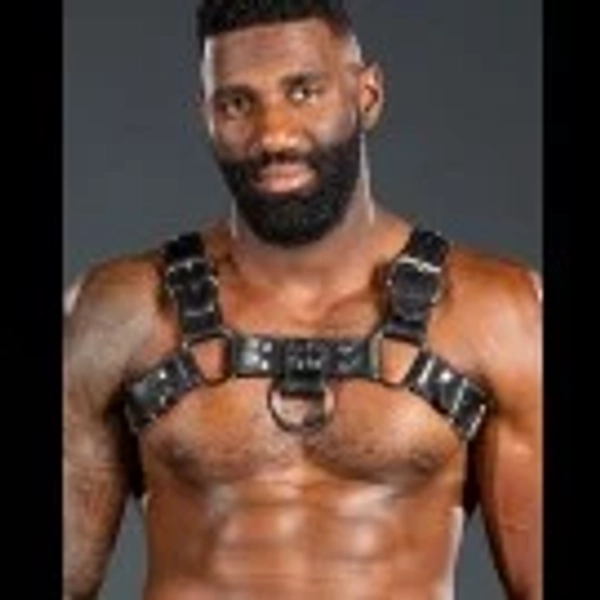 Bulldog Harness 2.0 - 6 Colors