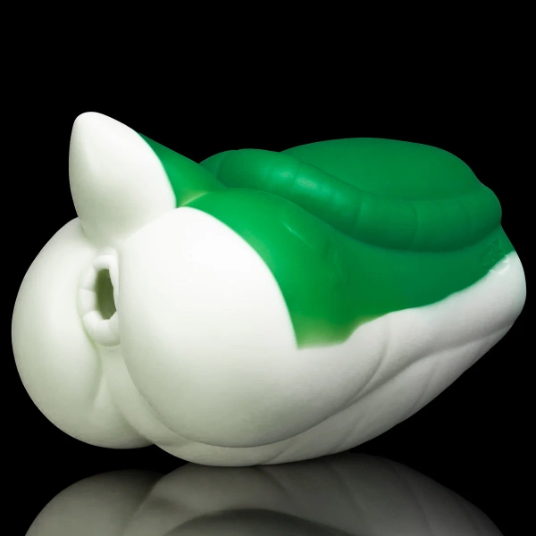 Tooshi the Turtle Dinoβ’