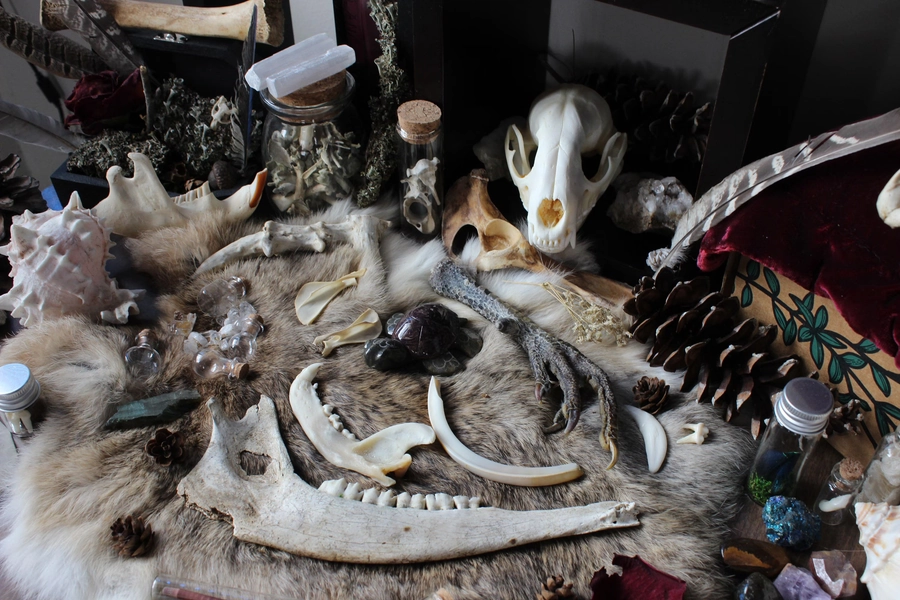 Mini Oddity Mystery Box | Bone Forest Box | Bone Box |