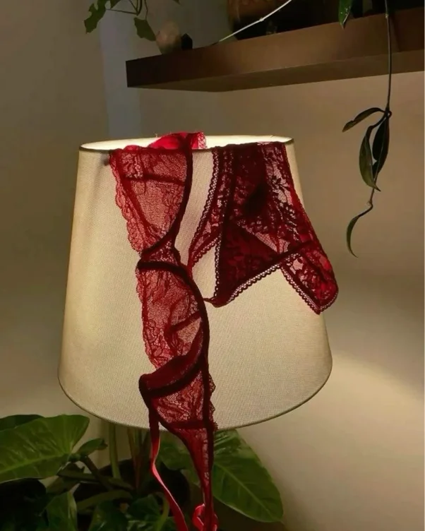 lingerie surprise
