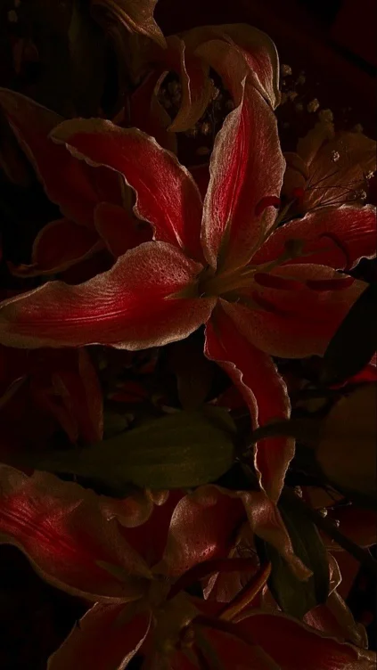 fresh flowers 