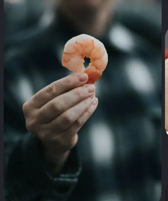 Shrimp 