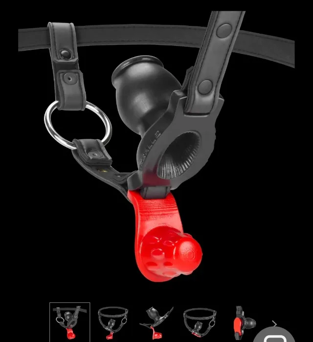HOLE HARNESS hollow pighole
