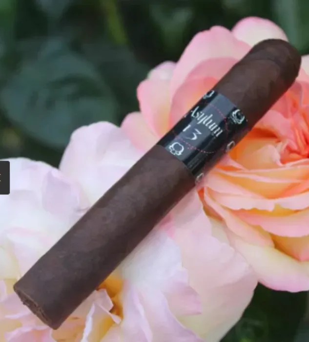 CLE Asylum 13 Robusto Cigar - 1 Single 