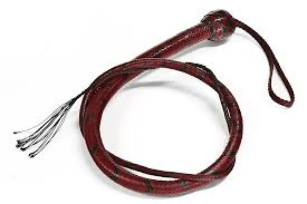 Kangaroo Signal Whip