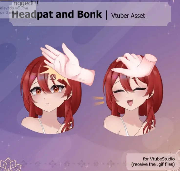 PAT & BONK ASSETS