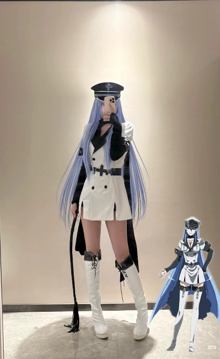Akame ga Kill Esdeath Cosplay Costume