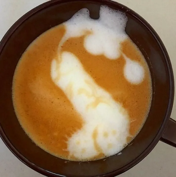 Café. Une présence. Rien de plus.