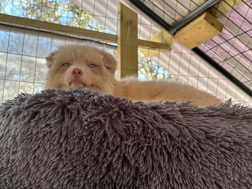 Flynn Sponsorship Payment