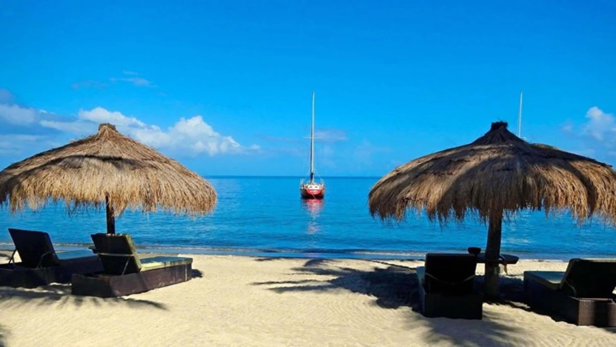 ✨️🏝 My Escape to Paradise ✨️🏝