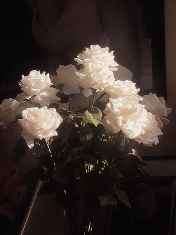 Flowers 🌹 
