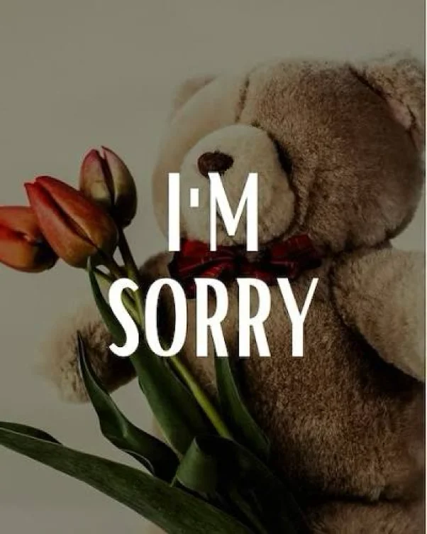 Apology 