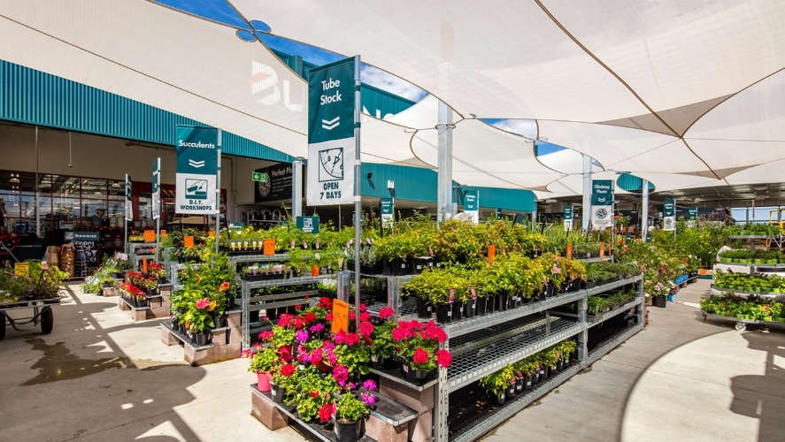 Bunnings dream shopping adventure 