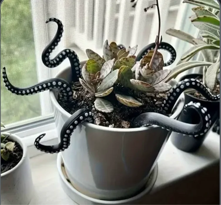 Plant stakes that are tentacles 