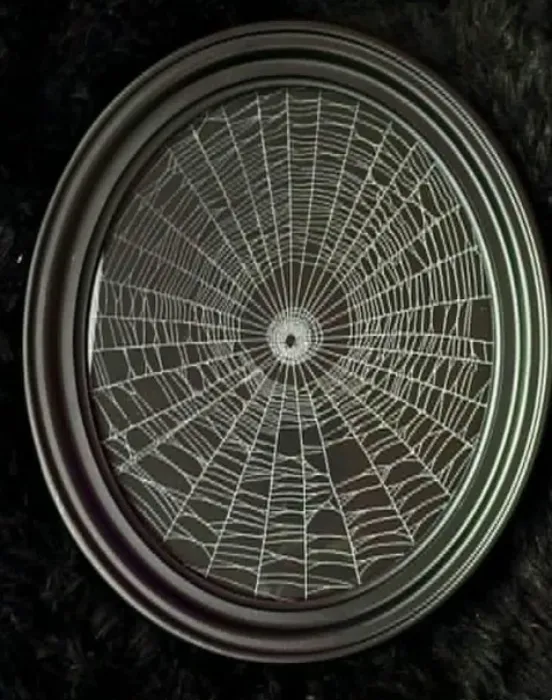 preserved spider web