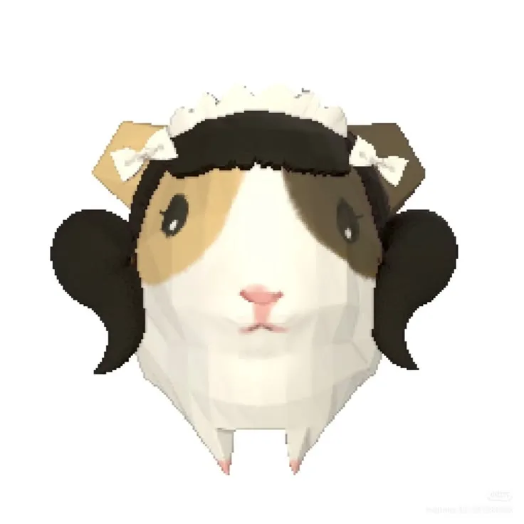 guinea pig 