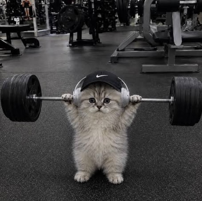 my gym  