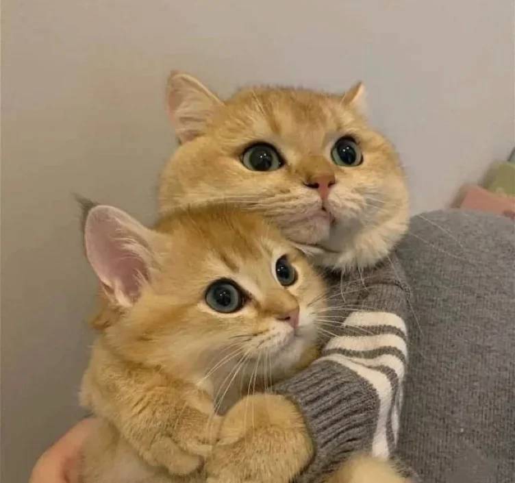 we become best friends 
