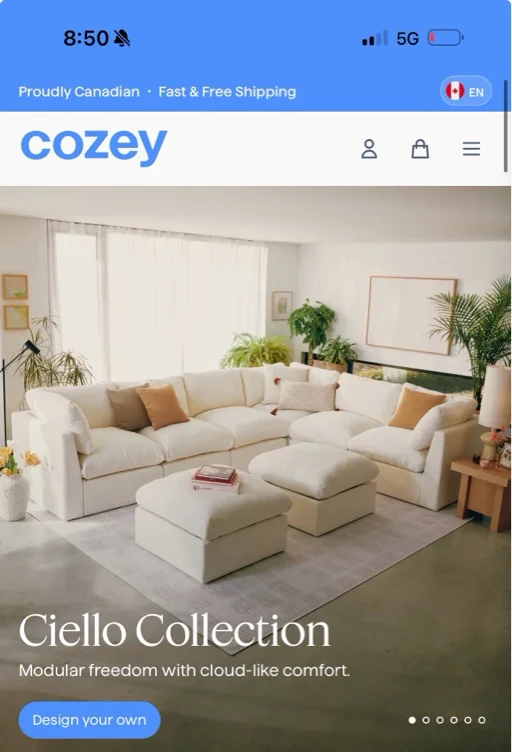 NEW COUCH