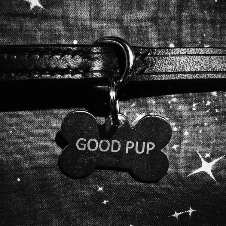 Puppy tax 
