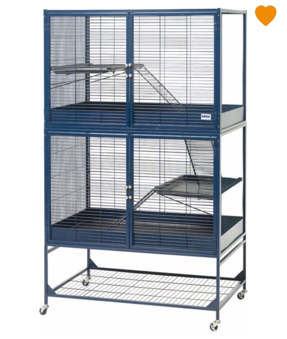 Cage Chinchilla 